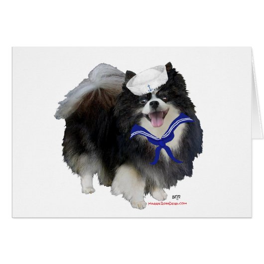 Black Pomeranian Sailor Cards (Front Horizontal)