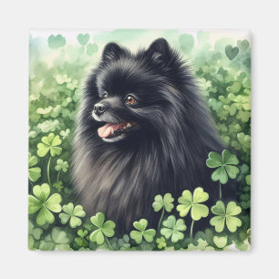 Black Pomeranian St Patricks Day  Magnet