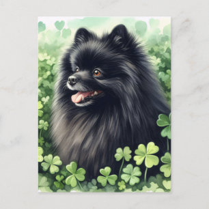 Black Pomeranian St Patricks Day Portrait Postcard