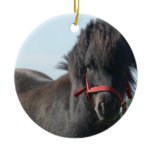 Black Pony  Ornament