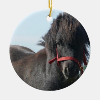 Black Pony  Ornament by HorseStall at Zazzle