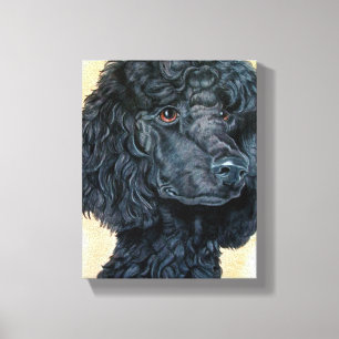 Black Poodle Canvas Print
