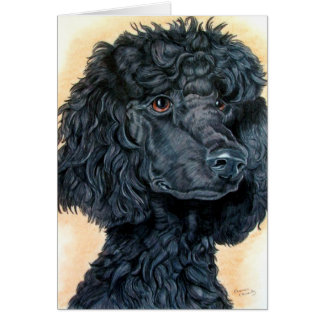 Black Poodle Cards