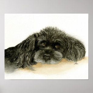 Black Poodle Dog  Poster