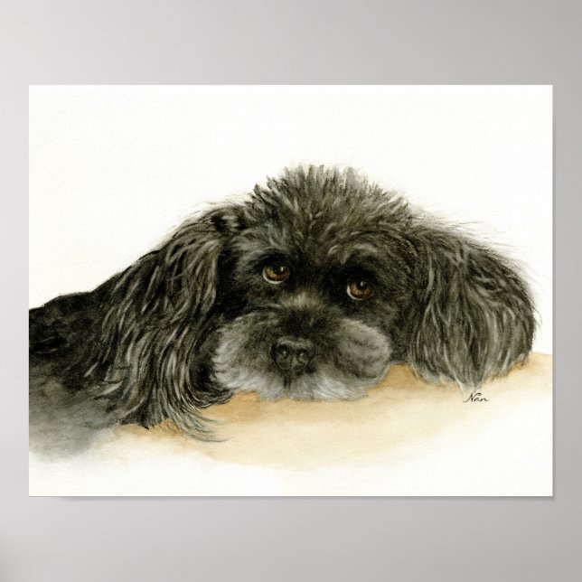Black Poodle Dog  Poster (Front)