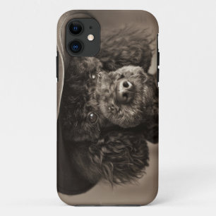Black Poodle Dressed as a Cowboy Halloween Costume iPhone 11 Case