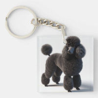 Black Poodle
