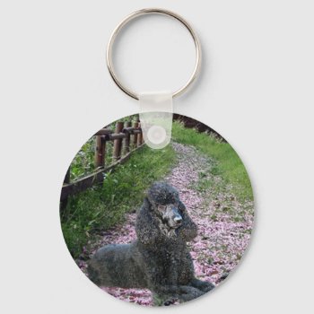 Black Poodle Keychain Flowers by normagolden at Zazzle