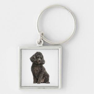 Black Poodle Mom Puppy Dog Dad Fur Mama Puppies Keychain
