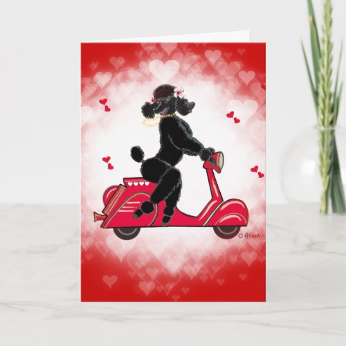 Black Poodle on Scooter Valentine Holiday Card
