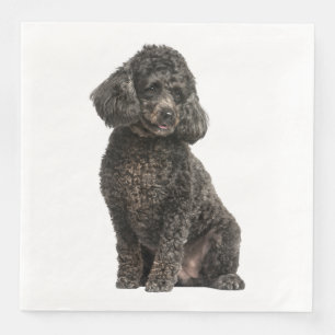 Black Poodle Puppy Dog Wedding Party Birthday Paper Dinner Napkins