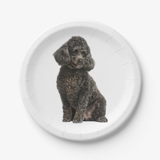 Black Poodle Puppy Dog Wedding Party Birthday Paper Plates (Front)