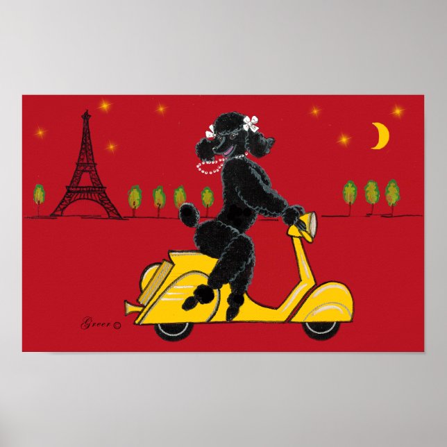 Black Poodle Scooter Poster Print (Front)