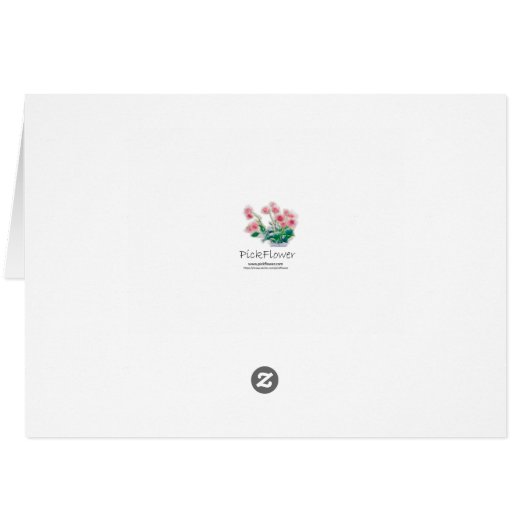 Black Poppies (Back Horizontal)