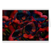 Black Poppies (Front Horizontal)