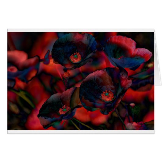 Black Poppies Cards (Front Horizontal)