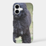 Black Portuguese Water Dog iPhone 17 Case
