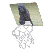 Black Portuguese Water Dog Mini Basketball Hoop (Above)