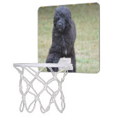 Black Portuguese Water Dog Mini Basketball Hoop (Left)