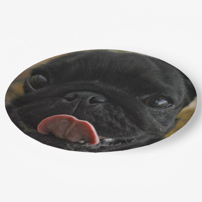 black pucking paper plates (Angled)