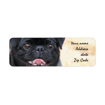 Black Pug Address Labels by ritmoboxer at Zazzle