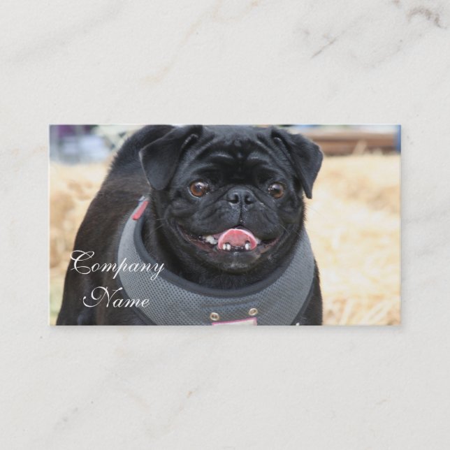 Black Pug Business Cards (Front)