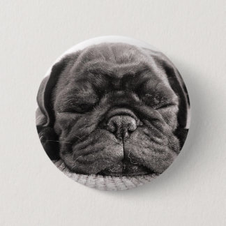 Black pug button