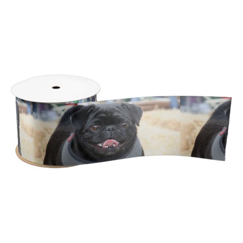 Black pug dog 3 satin ribbon