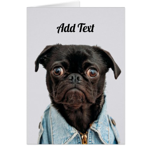 Black Pug Dog Add Text