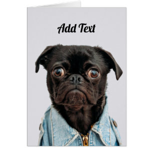 Black Pug Dog Add Text Cards
