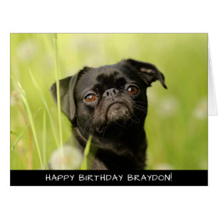 Black Pug Dog Extra Large Birthday Card