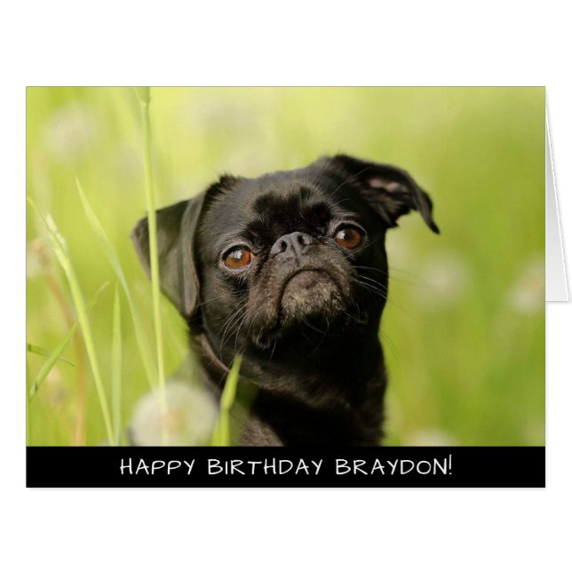 Black Pug Dog Extra Large Birthday Card (Front Horizontal)
