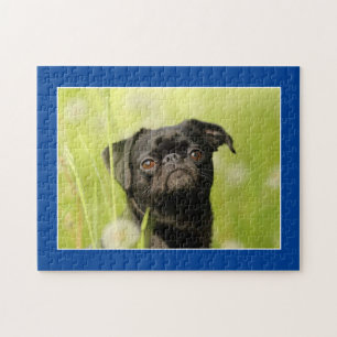 Black Pug Dog Jigsaw Puzzle