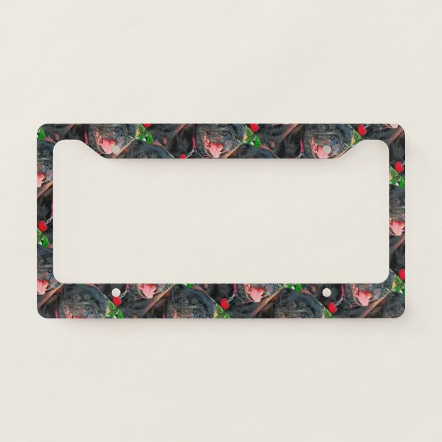 Black Pug Dog License Plate Frame (Front)