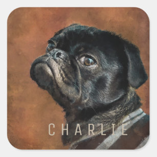 Black Pug Dog Square Sticker