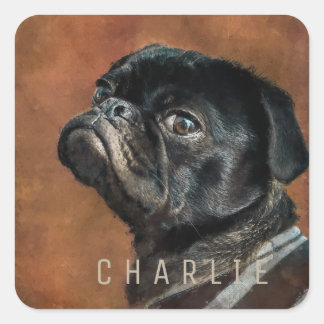 Black Pug Dog Square Sticker