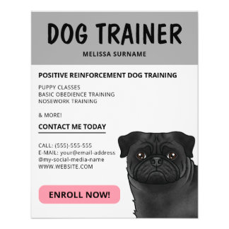 Black Pug Dog Trainer Dog Pet Service Gray Flyer