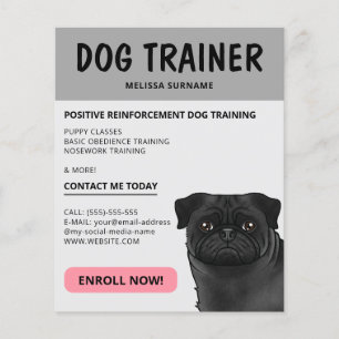 Black Pug Dog Trainer Dog Pet Service Gray Flyer