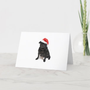 Black pug dog with red santa hat holiday card