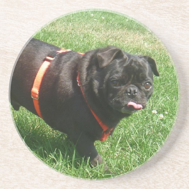 Black PUG Drink Coaster (Front)