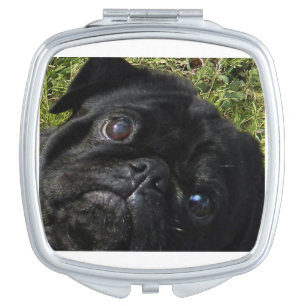 black-pug eyes makeup mirror