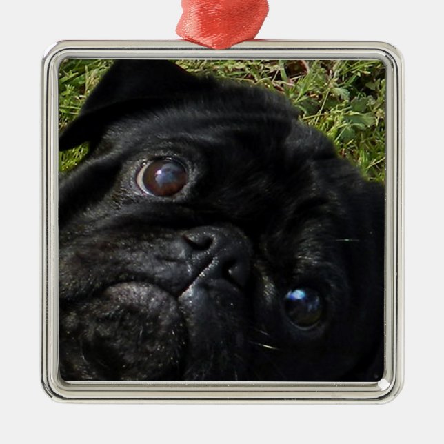 black pug eyes metal ornament (Front)