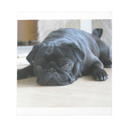 black pug flat notepad