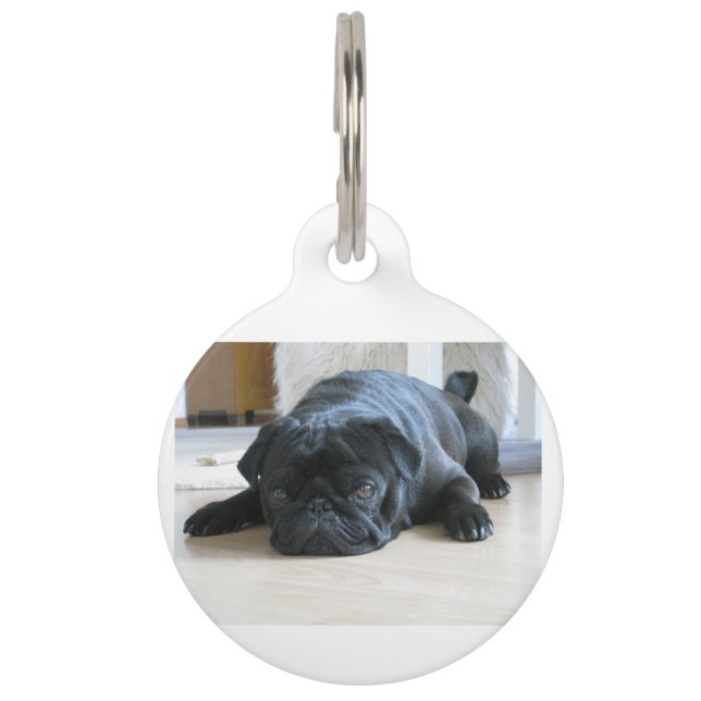 black pug flat pet ID tag (Front)