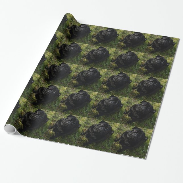 black-pug full.png wrapping paper (Unrolled)