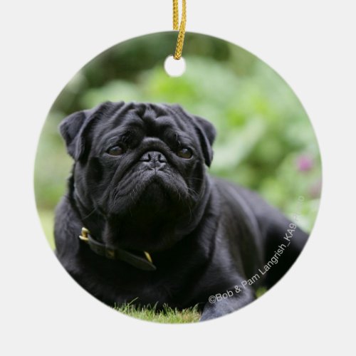 Black Pug Laying Down Ceramic Ornament