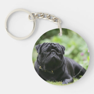 Black Pug Laying Down Keychain