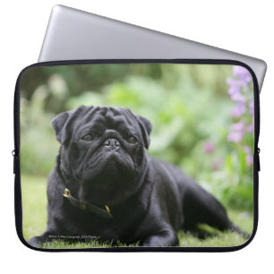 Black Pug Laying Down Laptop Sleeve