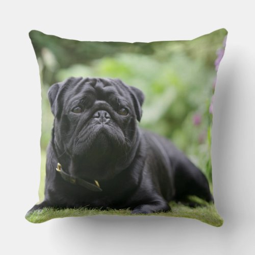 Black Pug Laying Down Throw Pillow