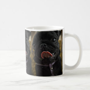 black pug licking coffee mug